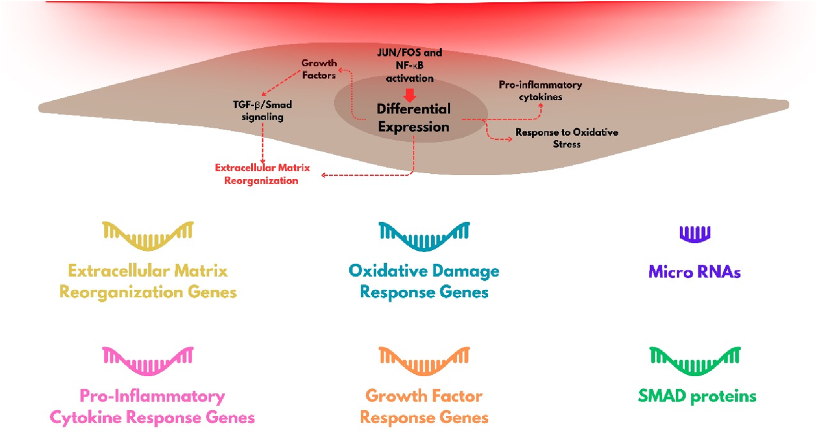 How Light Therapy Works