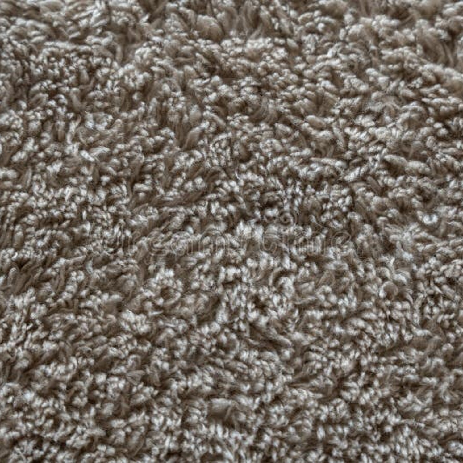 Premium French Terry Cotton